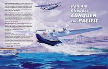 Load image into Gallery viewer, Book - Pan American's Final Flight by Jon Krupnick